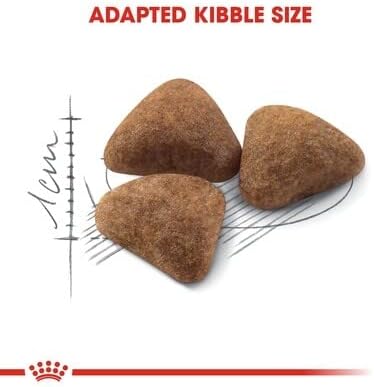 Royal Canin Feline Health Nutrition Indoor 2 KG